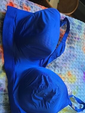 Wireless Everyday Bra in Vivid Blue